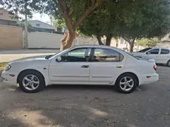 نیسان، ماکسیما