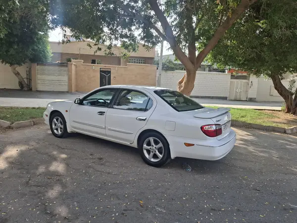 نیسان، ماکسیما