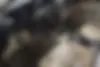 هوندا  آکورد
