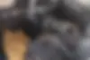 فونیکس  FX