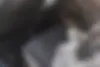فونیکس  FX