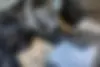 اپل،  کورسا