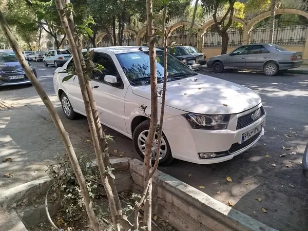 دنا، معمولی