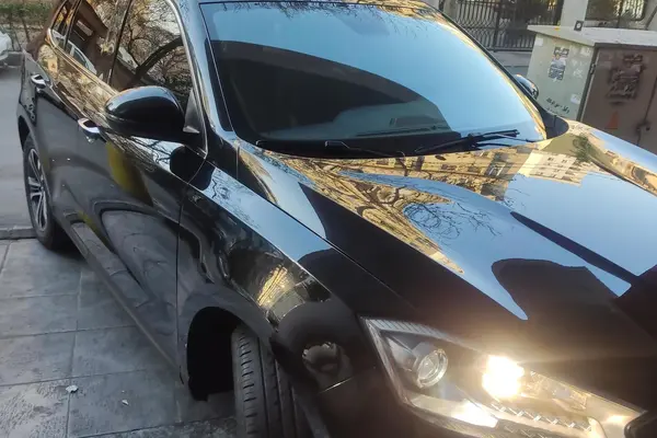 بورگوارد، BX7