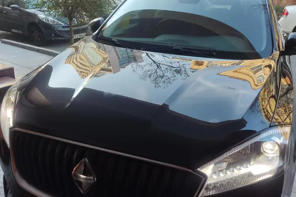 بورگوارد، BX7