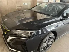 دانگ فنگ، شاین مکس هیبرید