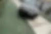 نیسان،  رونیز