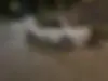 پژو، پارس