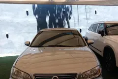 نیسان، ماکسیما