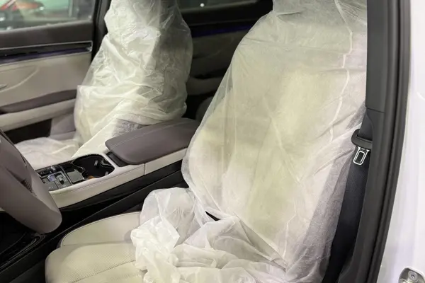 بی وای دی، سانگ پلاس DMi