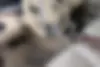 ام جی،  6