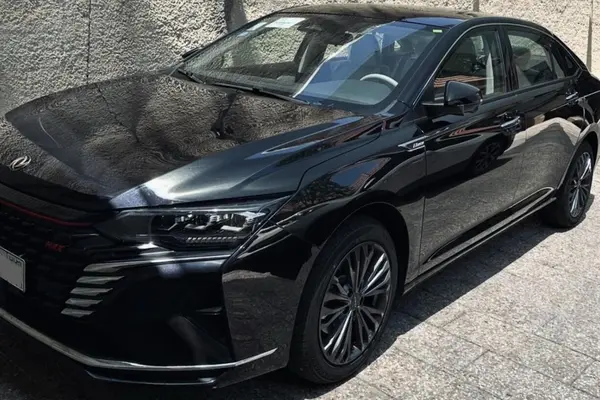 دانگ فنگ  شاین مکس