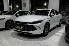 بی وای دی، چین ال DMi