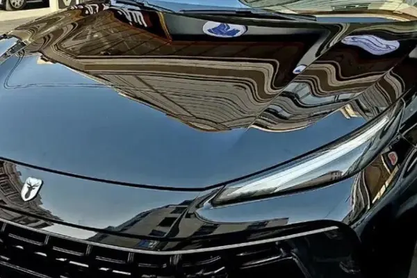 لاماری، ایما