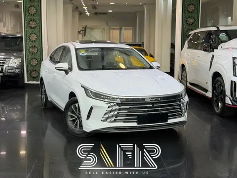 بی وای دی، دیسترویر 05 DMi