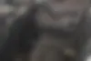 کیا  سراتو (مونتاژ)