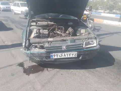 پژو، RDI