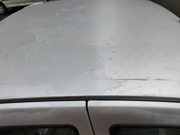 رنو، تندر 90