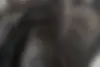 کیا،  سراتو
