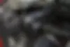 لاماری،  ایما