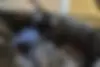 دنا،  پلاس EF7