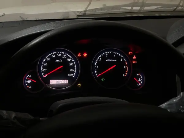 زامیاد، پادرا پلاس