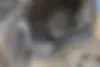 چری  تیگو 5