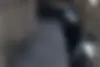 کاپرا،  2