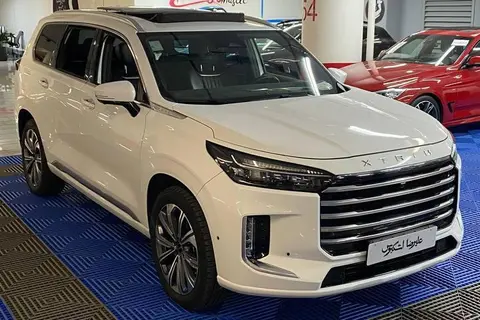 اکستریم، VX (QX)