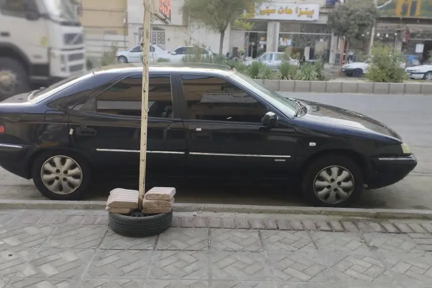 سیتروئن،  زانتیا