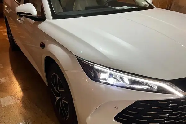 بی وای دی، چین L