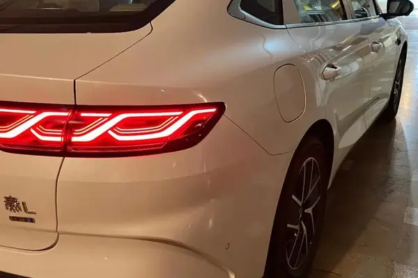 بی وای دی، چین L