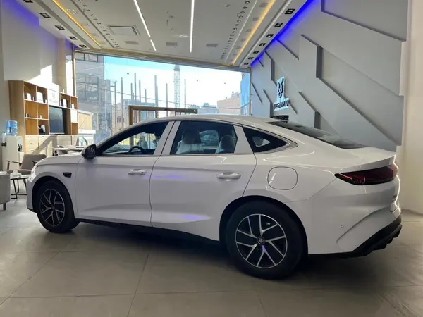 بی وای دی، چین ال DMi