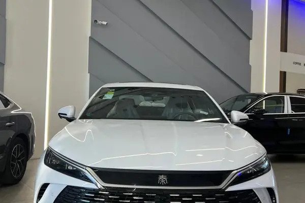 بی وای دی، چین ال DMi