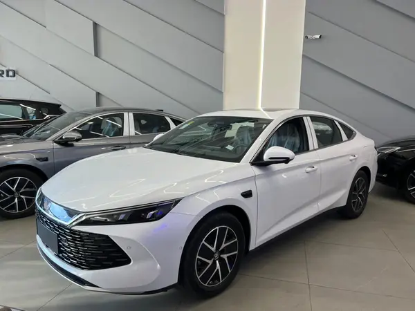 بی وای دی، چین ال DMi