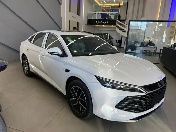 بی وای دی، چین ال DMi