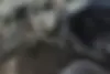 هوندا  eNS1