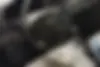 نیسان  ماکسیما