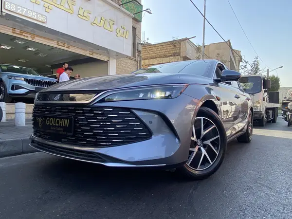 بی وای دی، چین L