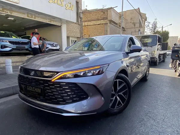 بی وای دی، چین L