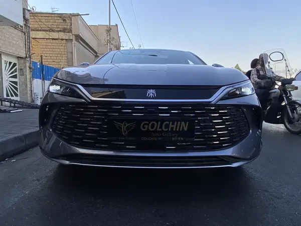 بی وای دی، چین L