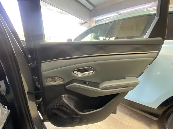 بی وای دی، چین L