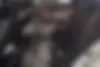 کیا  سراتو (مونتاژ)