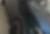 لاماری،  ایما