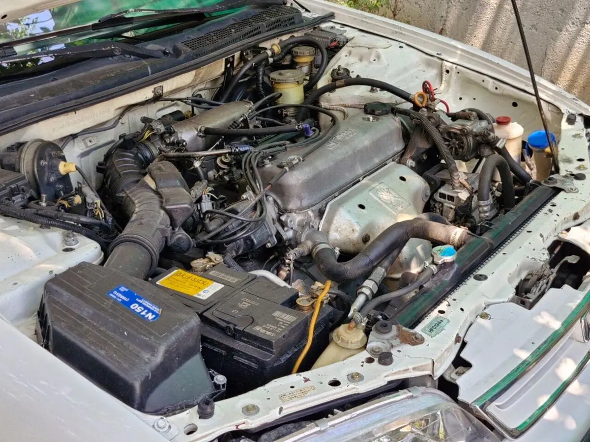 هوندا،  آکورد