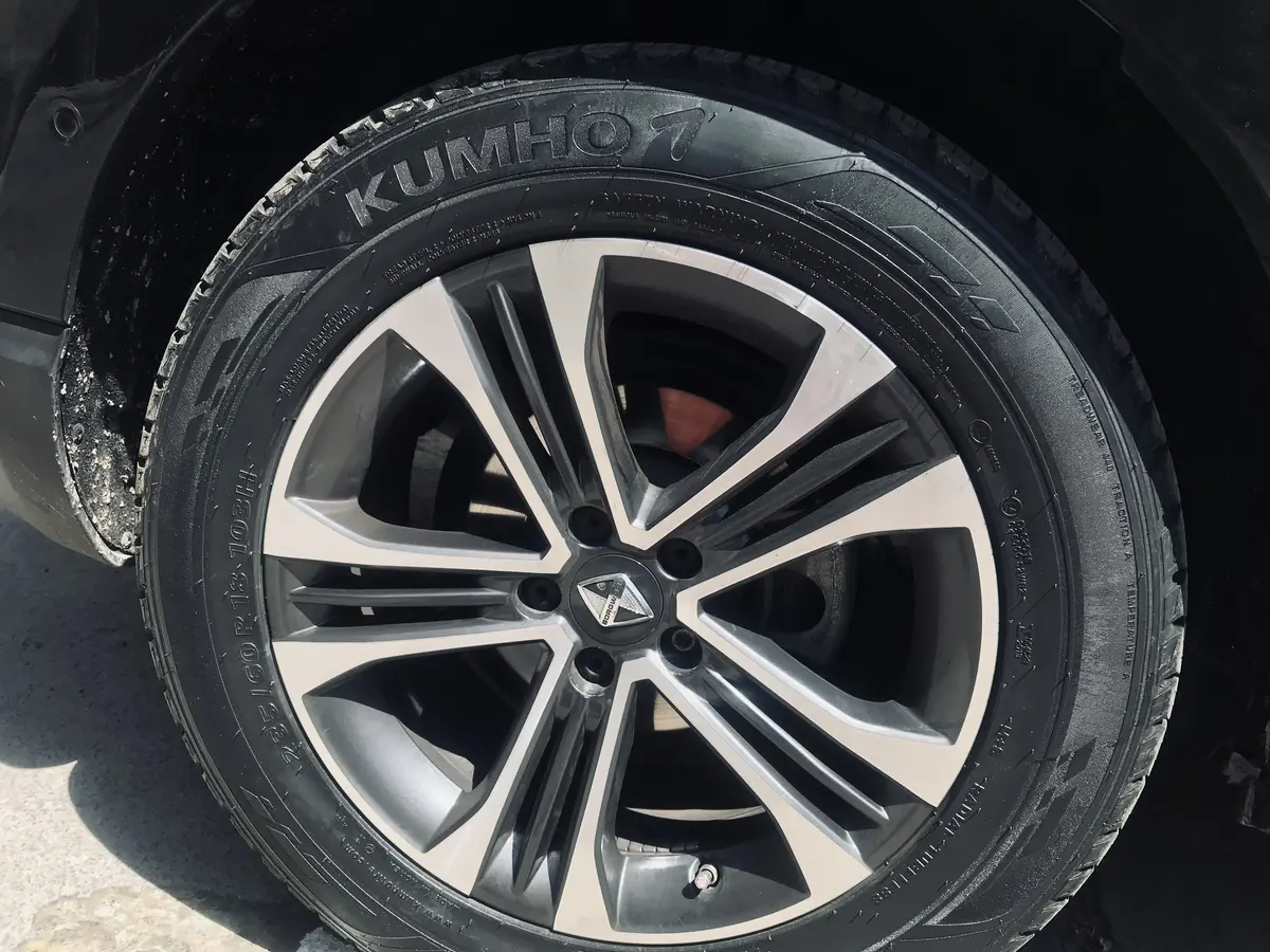 بورگوارد،  BX7