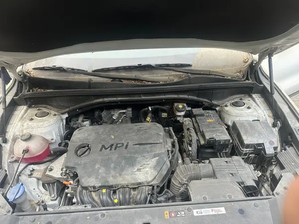 کیا، سورنتو