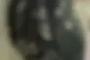 چری، آریزو 5T
