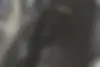 فونیکس  FX
