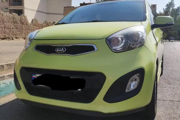 کیا، پیکانتو